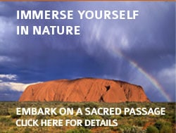 Immerse Yourself in Nature